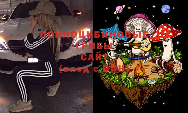 MDMA Premium VHQ Козловка