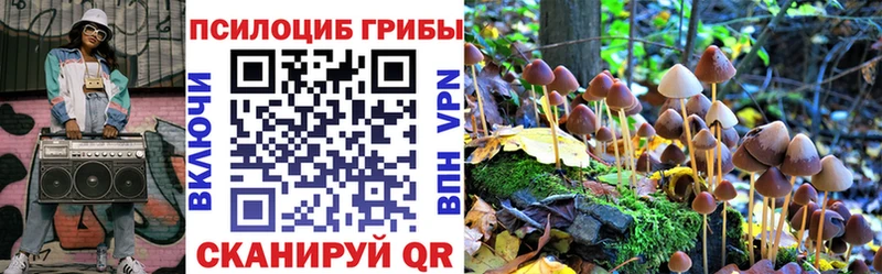 Псилоцибиновые грибы GOLDEN TEACHER  Сураж 